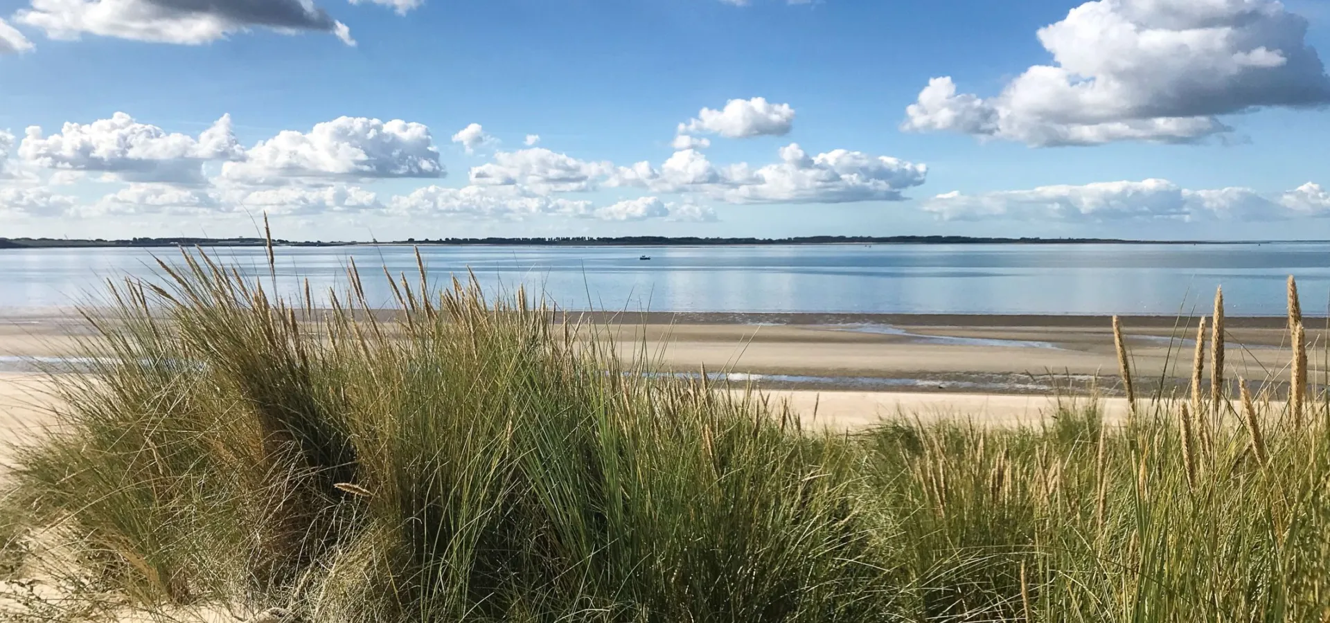 Surroundings camping brielle