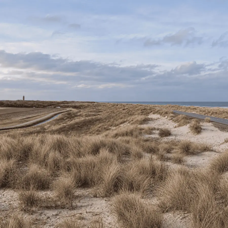 Dunes in Winter